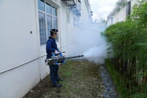 Dedetização de Mosquito da Dengue