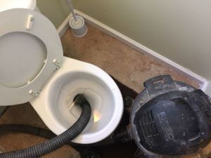 Replace A Wax Ring On A Toilet 300x225 - Desentupidora de Vaso em Osasco